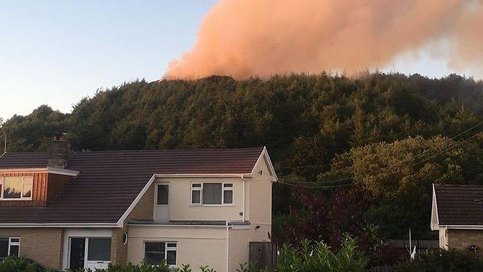 Fire on Pembrey Mountain