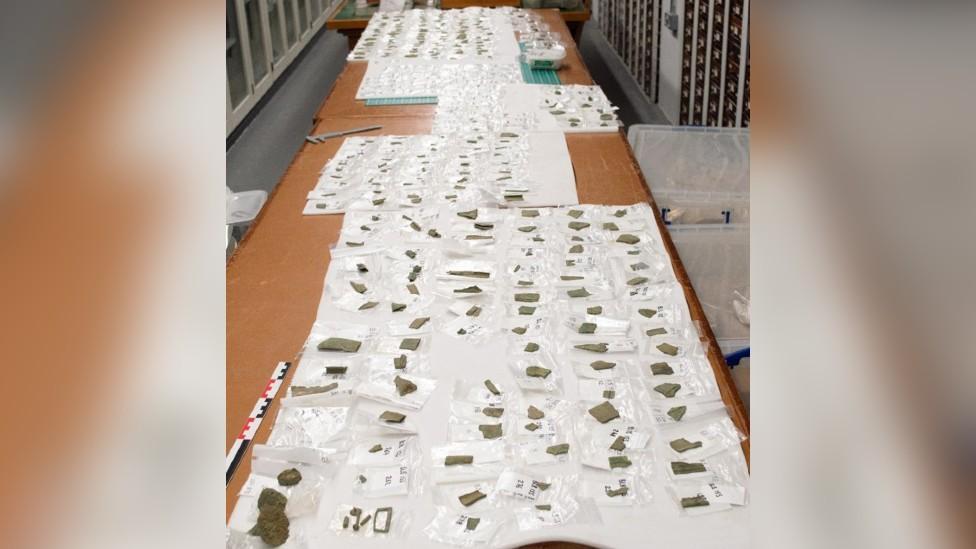 Bronze age hoard laid out on table