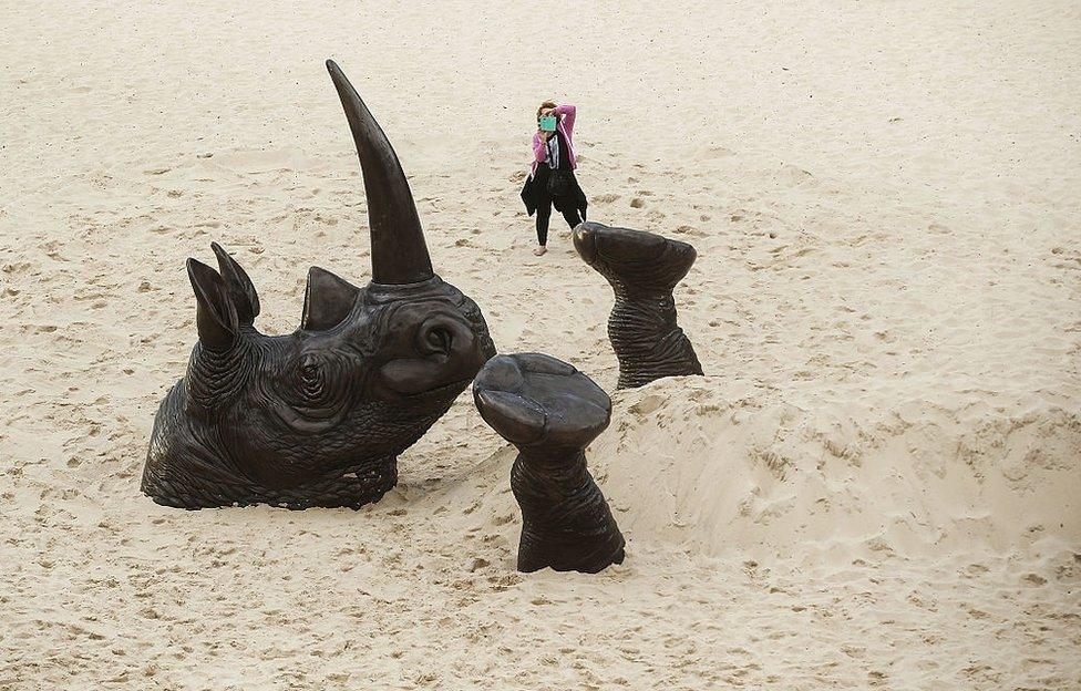 It is not every day that you see a 7m long upside down rhino at Tamarama Beach.