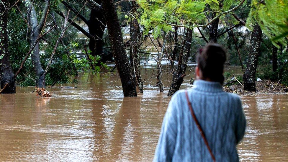 A flooded area in Windsor, New South Wales, Australia, on 4 July 2022