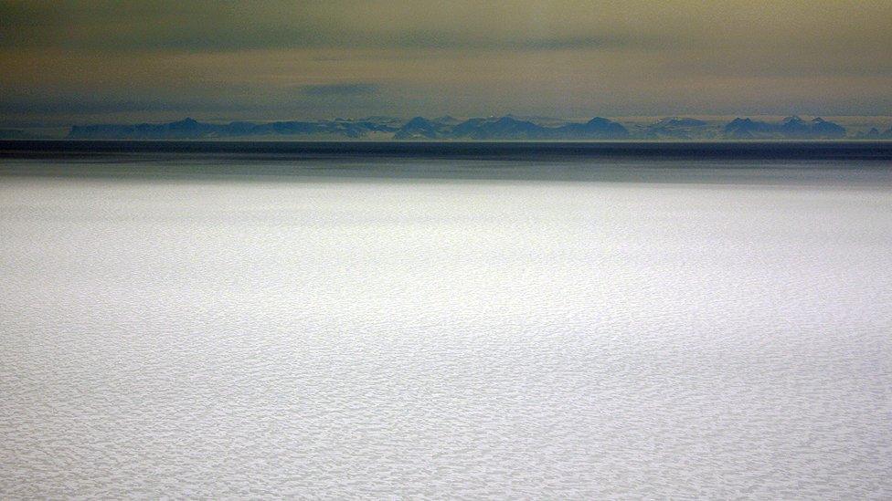 Larsen C Ice Shelf