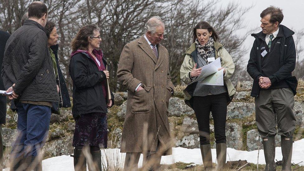 Prince Charles Curlew Recovery Partnership