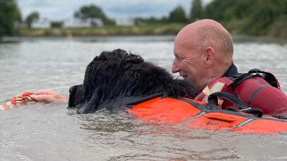 Pete Lewin and a newfoundland