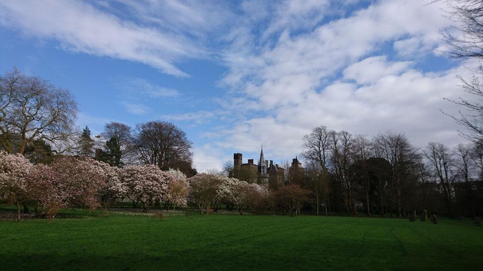 Bute Park