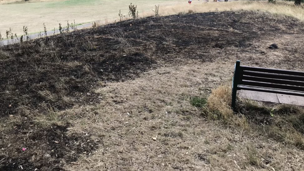 Burnt grass at Ashcombe Park