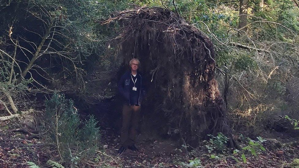 Blick Mead tree stump 'eco-home'