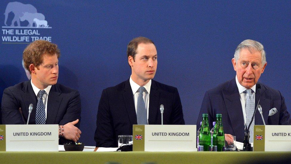 Prince Harry, Prince William and Prince Charles speaking against the illegal wildlife trade.