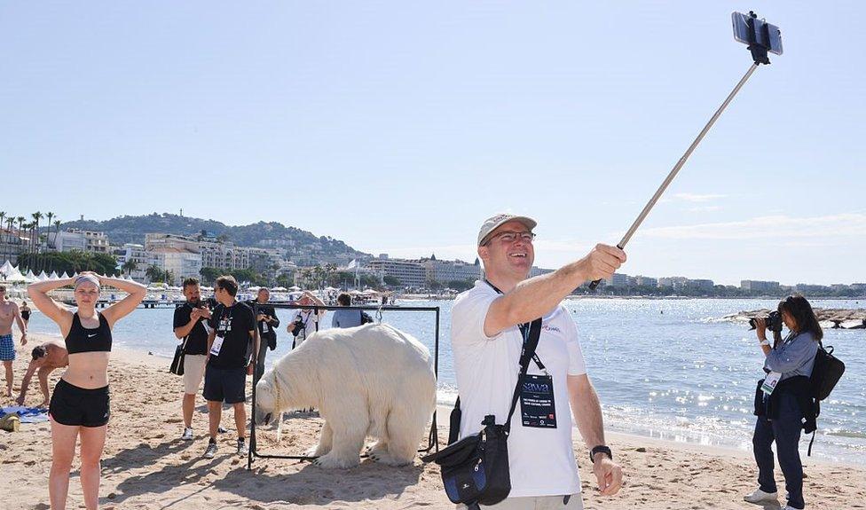 Cannes Lion festival