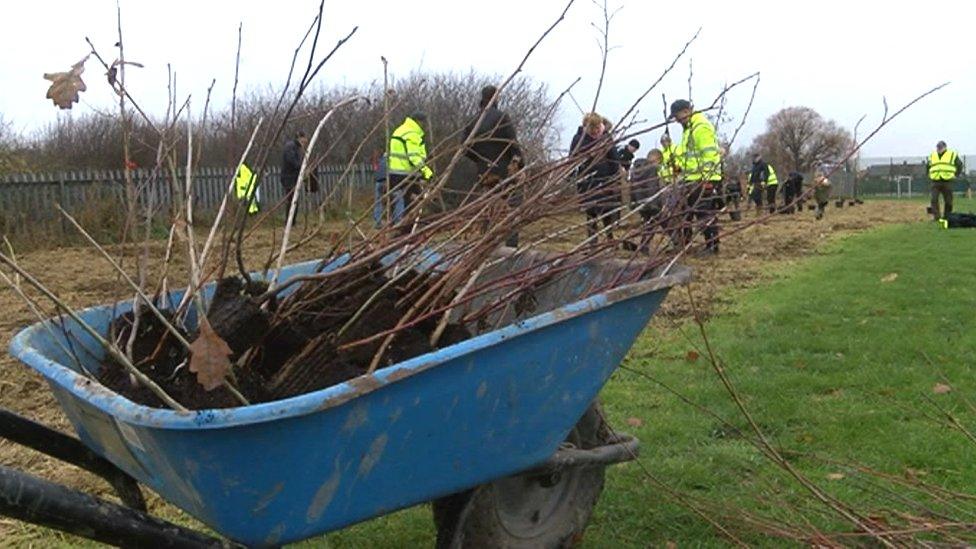 People planting trees