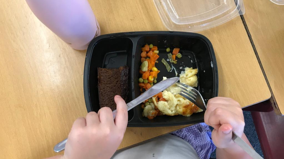 free school meal dinner plate