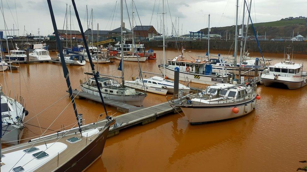 Boats at Whitehaven Marina