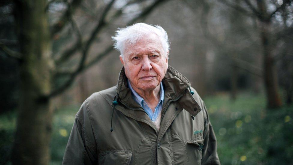 Sir David Attenborough