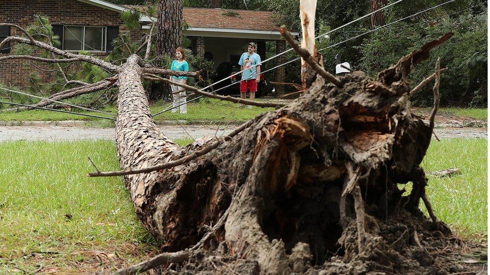 Chris Boland, rear right, whose home just missed a direct hit from a downed pine tree over the power lines, and Julia Tyson look over the aftermath Tropical Storm Hermine Friday, 2 September 2016, in Valdosta. Georgia.