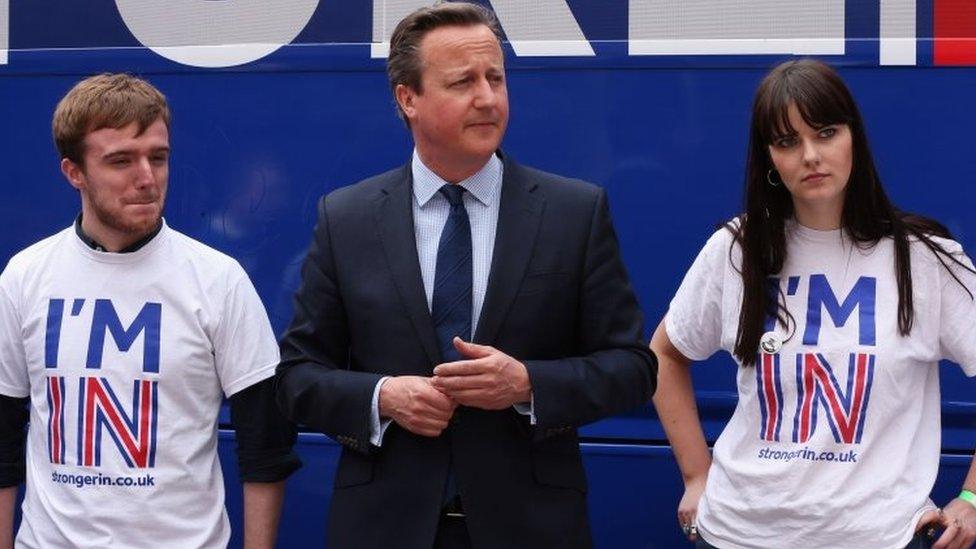 David Cameron with supporters of the In campaign