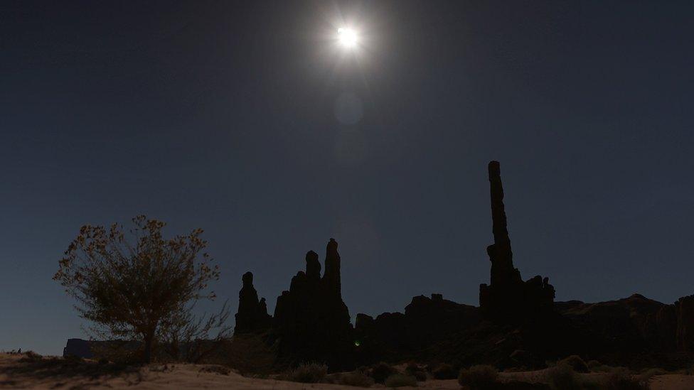 Cactus, rocks and solar eclipse.