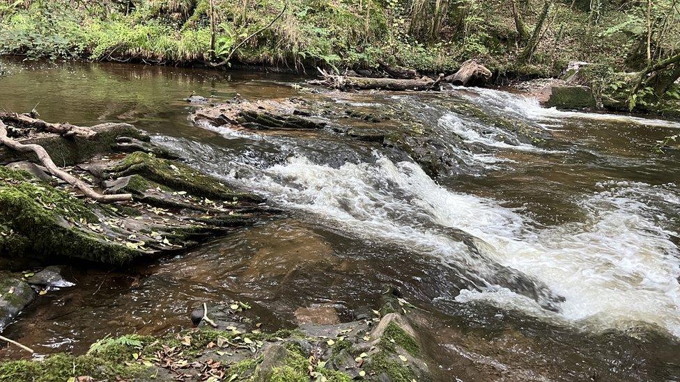 Weird in the River Afan