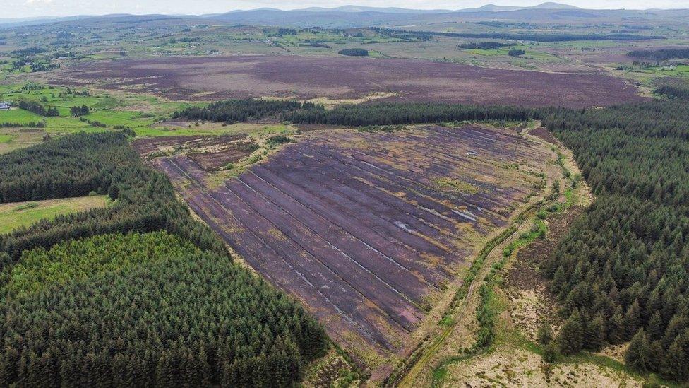 Ariel shot of Haughey's Bog in Country Tyrone