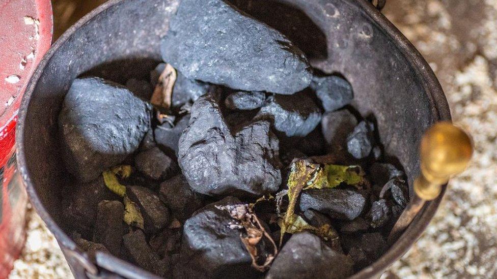 Coal in bucket