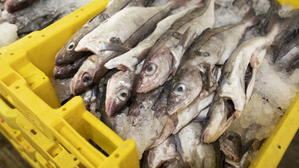 Pallets of fish are auctioned at Grimsby Fish Market on 8 October 2018