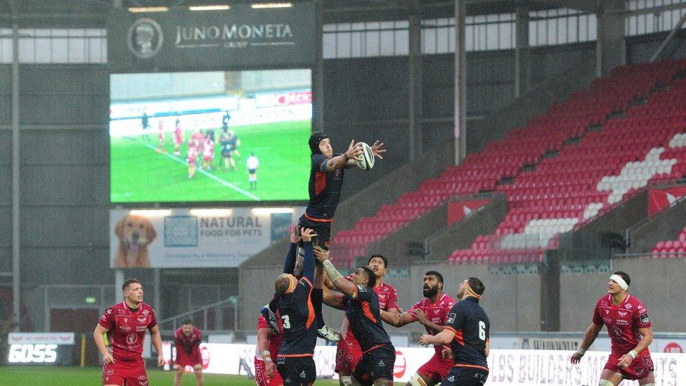 Scarlets yn herio Caeredin