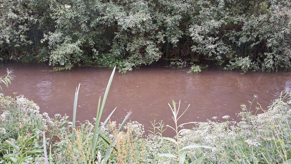 A river running brown after a sewage spill