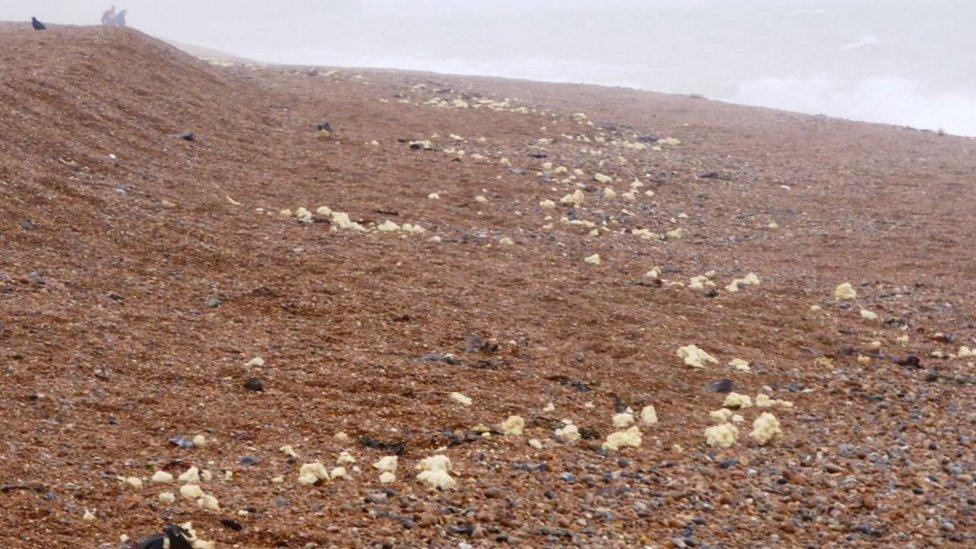 Palm oil deposits at Folkestone