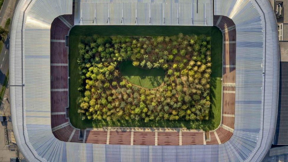 An aerial shot of the stadium with the forest within