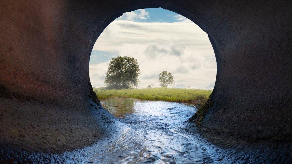 Inside of a sewage pipe