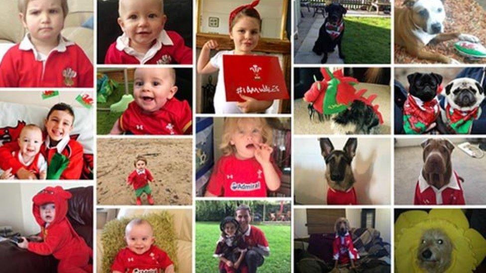 The young and furry took to social media to show their support for Wales