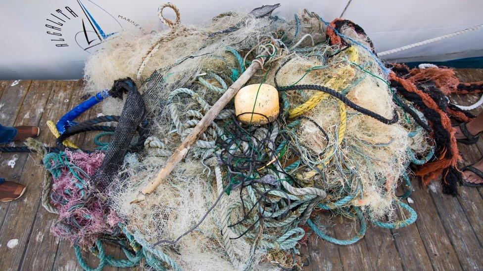 Fish nets collected from the north Pacific Ocean in 2009