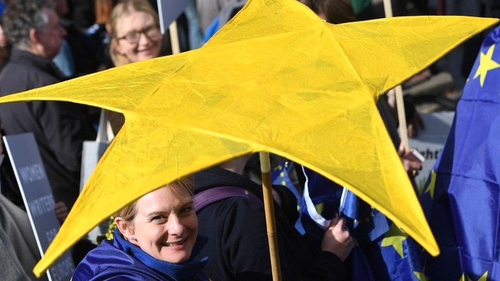 Pro-EU demonstrator