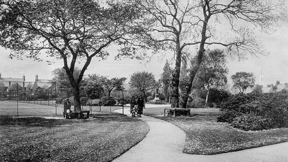 The tree on the left is among those being felled