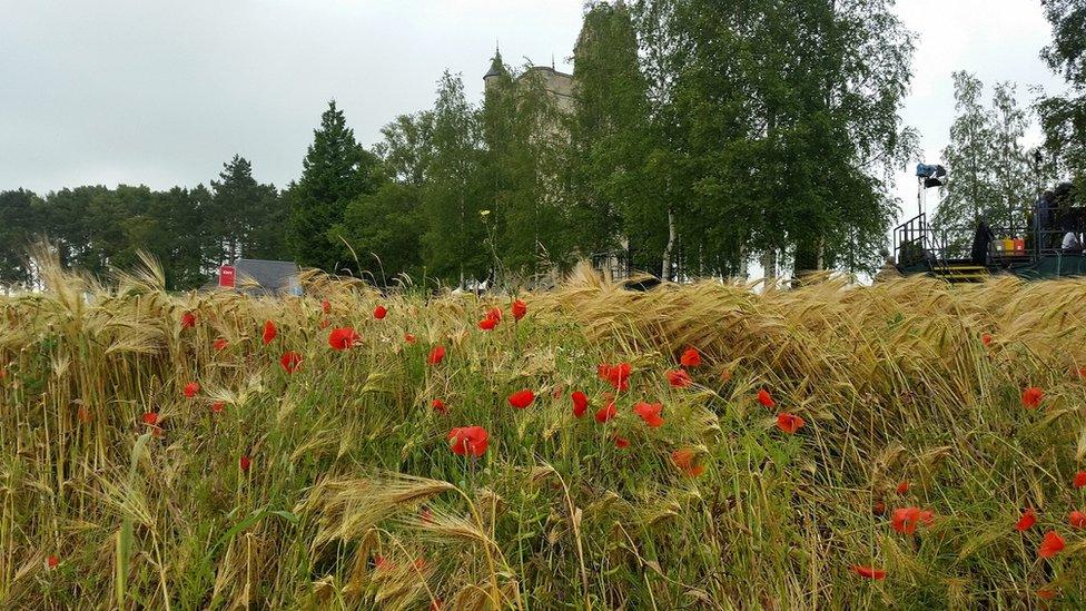 Batle of the Somme