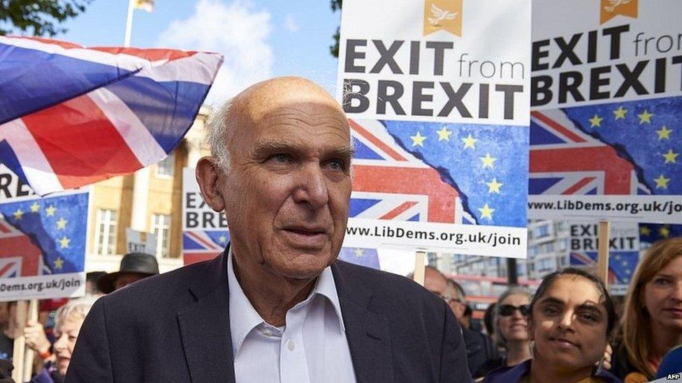 Sir Vince Cable at an anti-Brexit rally over the weekend