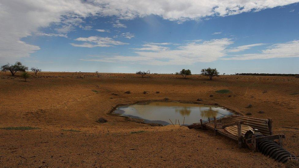 A dam on Rio Station in Longreach, Queensland (March 2014)