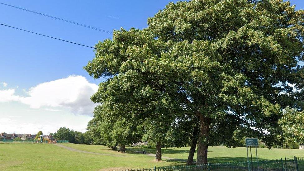 Mortomley Park, High Green