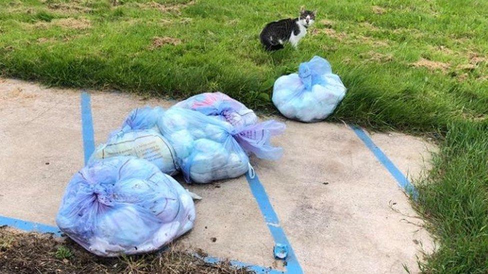 Nappy waste at Wildmill, Bridgend