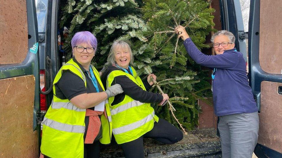 Three women loading Christmas trees into a van