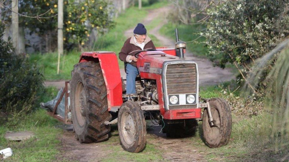 Former Uruguayan President José Mujica drives a tractor on his farm on the outskirts of Montevideo, Uruguay