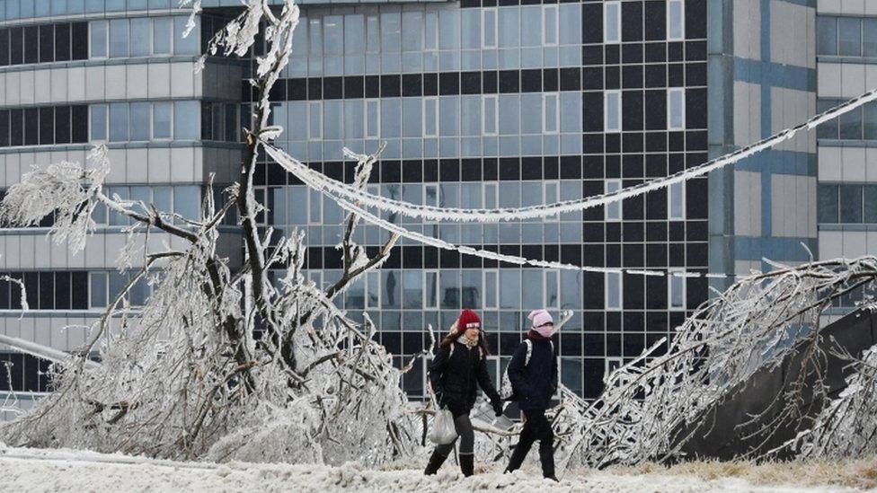 People walk past trees covered with ice after freezing rain in the far eastern city of Vladivostok, Russia