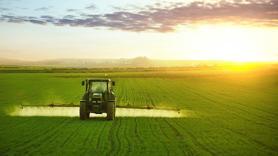 Tractor in a field at sunset