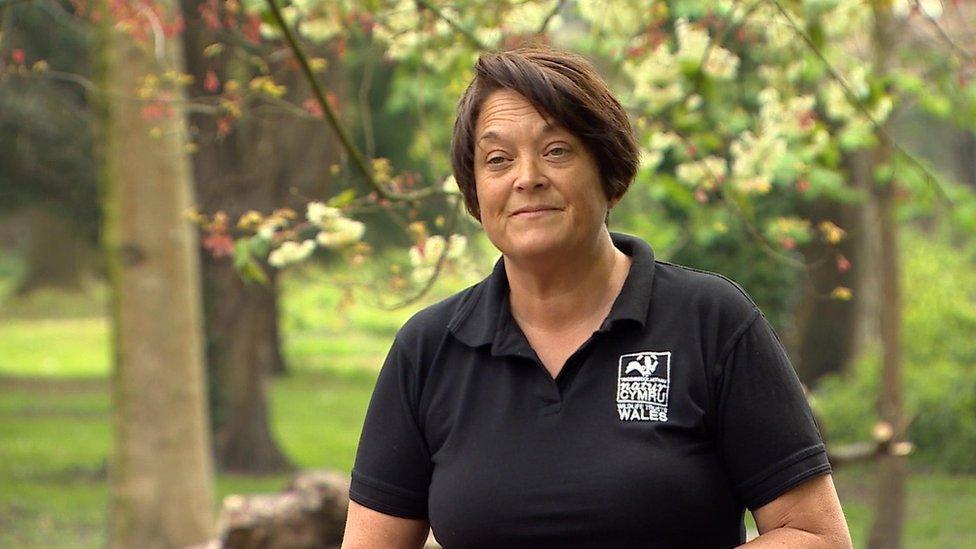 Rachel Sharp, chief executive of Wildlife Trusts Wales