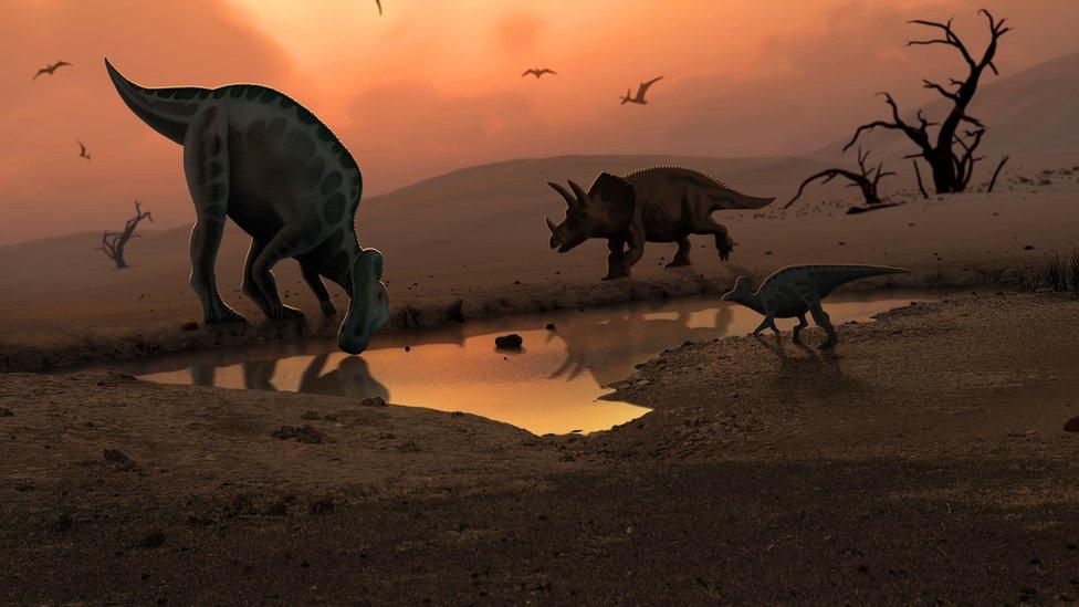 Hadrosaurs-and-ceratopsians-drinking-from-a-shallow-puddle.