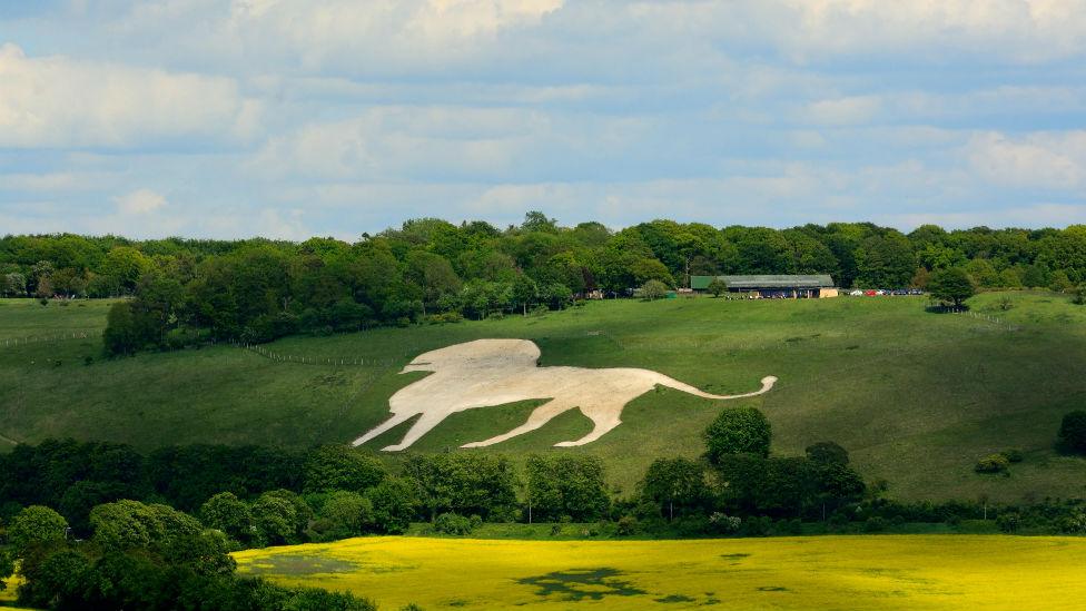 Whipsnade Zoo's white lion