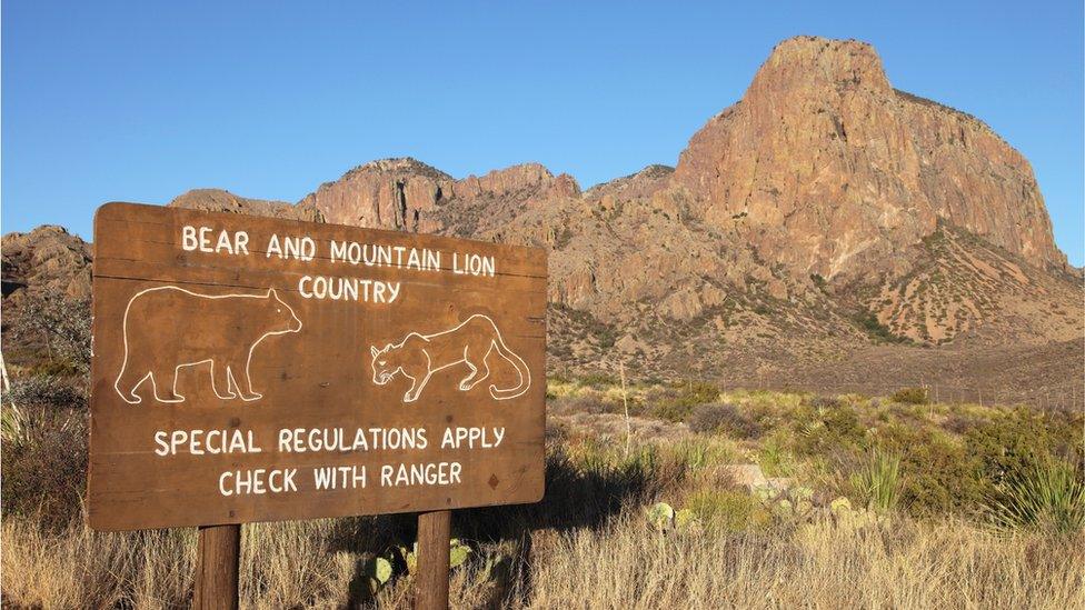 Big Bend National Park