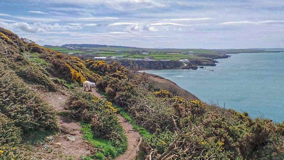 Anglesey coast path