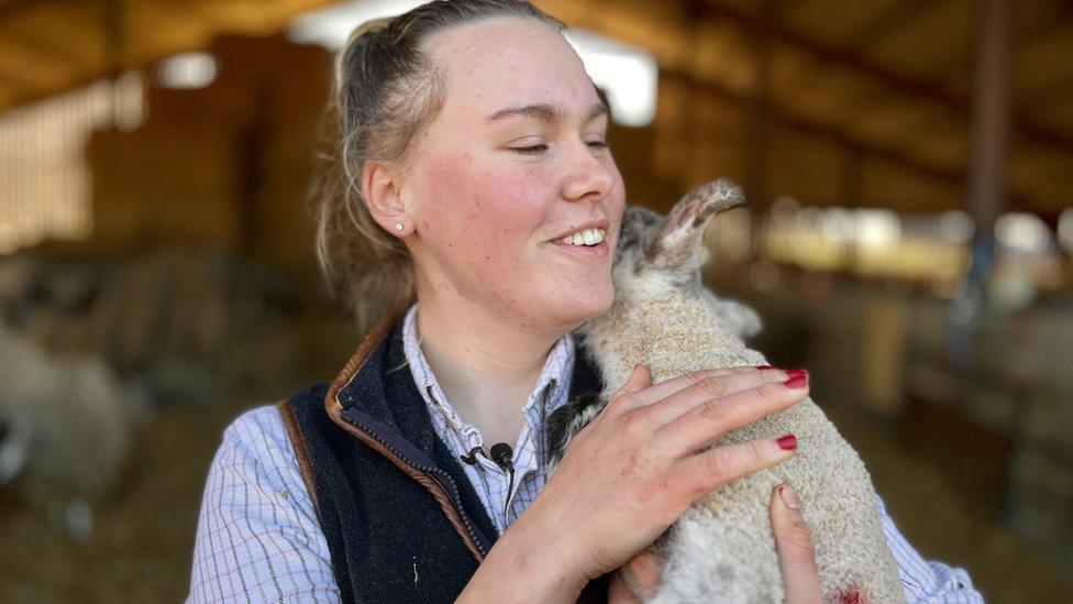 Libby Lawrence delivering a lamb