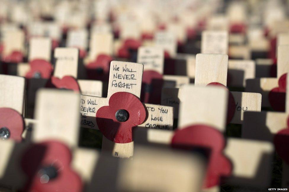 Pictures of red poppies