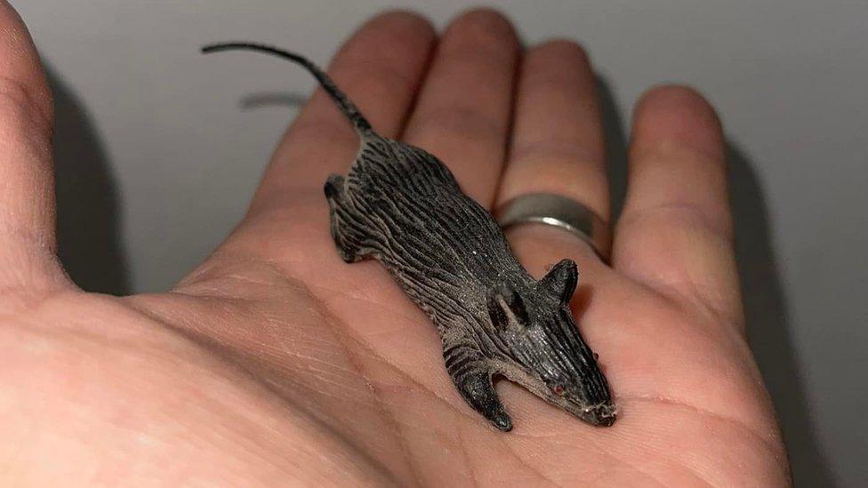 A rubber mouse being held by Adam Leonard