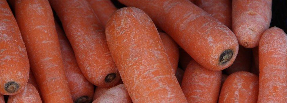 Carrots